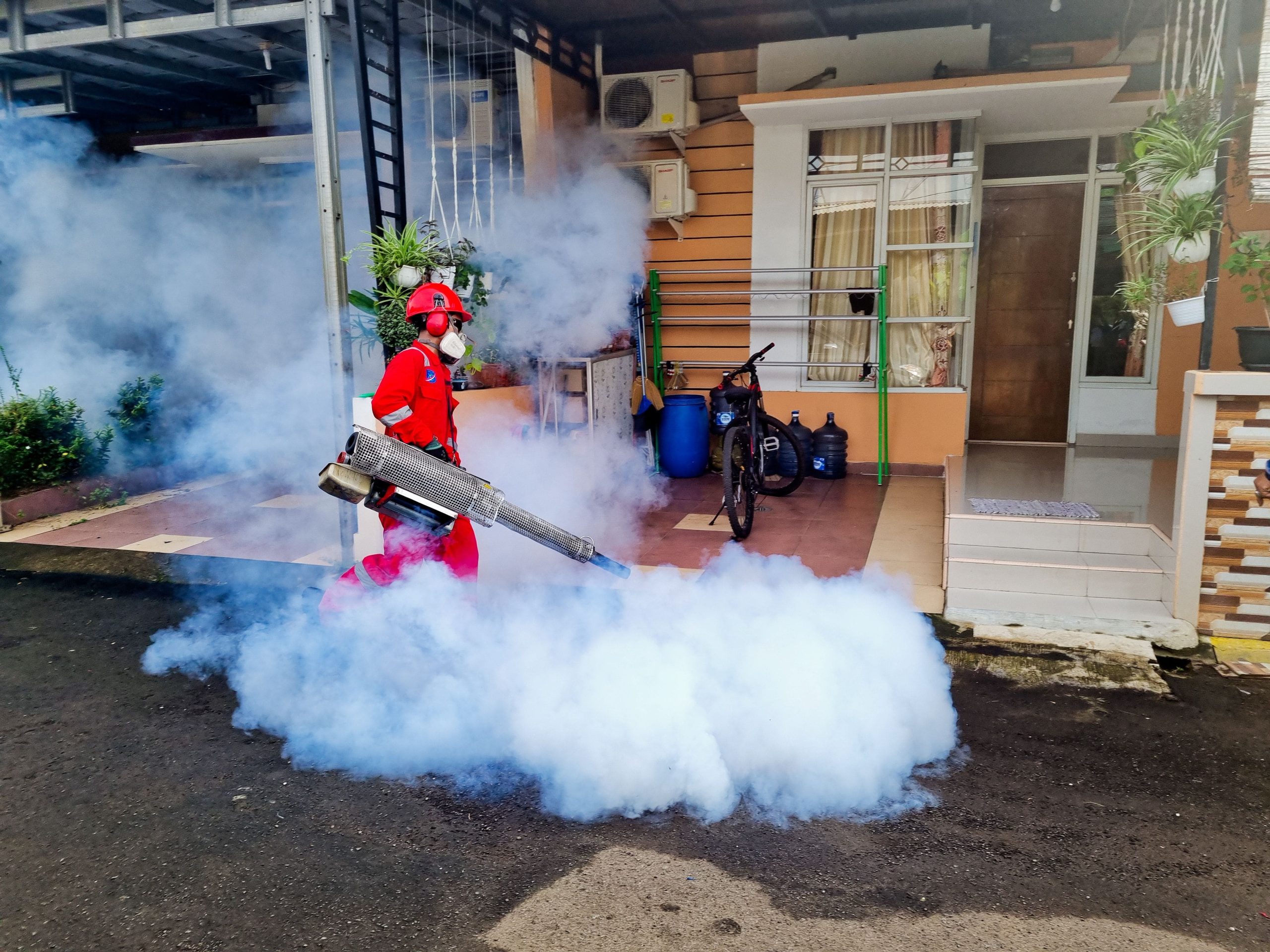 Pexels garda pest control indonesia 895947270